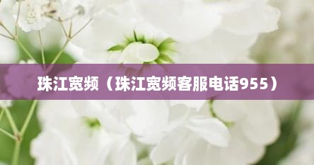 珠江宽频（珠江宽频客服电话955）