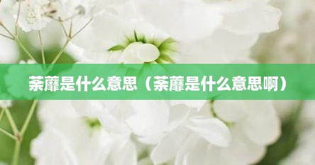 荼蘼是什么意思（荼蘼是什么意思啊）