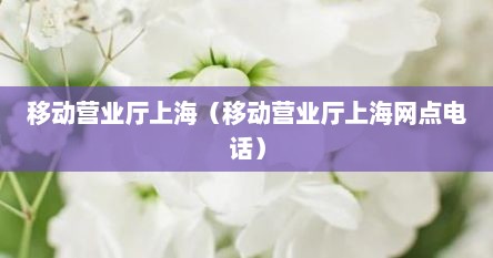 移动营业厅上海（移动营业厅上海网点电话）