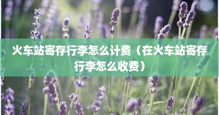 火车站寄存行李怎么计费（在火车站寄存行李怎么收费）