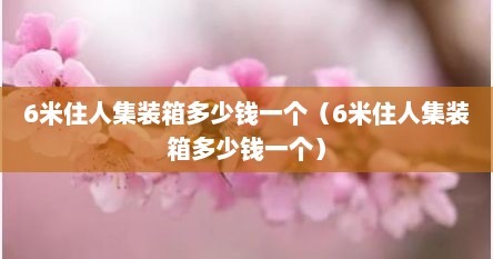 6米住人集装箱多少钱一个（6米住人集装箱多少钱一个）