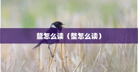 鳌怎么读（螯怎么读）