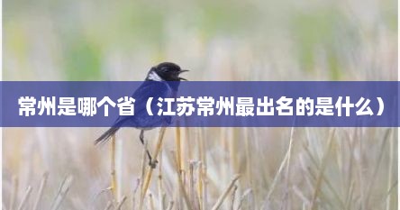 常州是哪个省（江苏常州最出名的是什么）