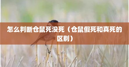 怎么判断仓鼠死没死（仓鼠假死和真死的区别）