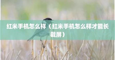 红米手机怎么样（红米手机怎么样才能长截屏）