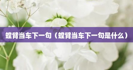 螳臂当车下一句（螳臂当车下一句是什么）