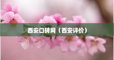 西安口碑网（西安评价）