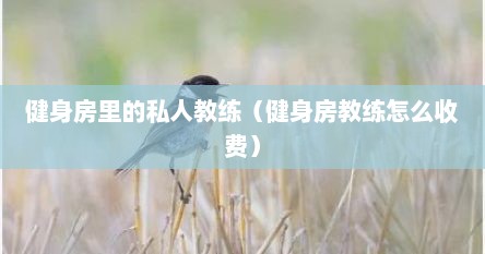 健身房里的私人教练（健身房教练怎么收费）