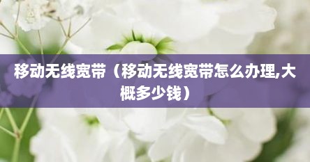 移动无线宽带（移动无线宽带怎么办理,大概多少钱）