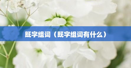 既字组词（既字组词有什么）