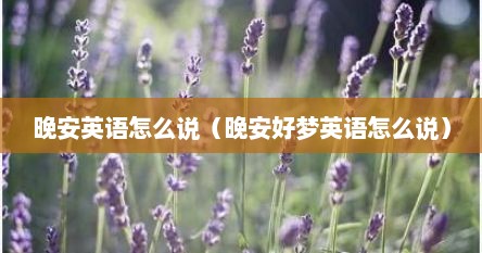 晚安英语怎么说（晚安好梦英语怎么说）