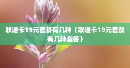 联通卡19元套餐有几种（联通卡19元套餐有几种套餐）