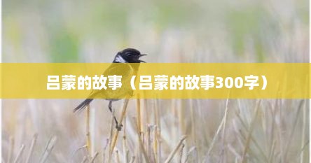 吕蒙的故事（吕蒙的故事300字）