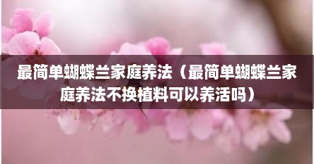 最简单蝴蝶兰家庭养法（最简单蝴蝶兰家庭养法不换植料可以养活吗）