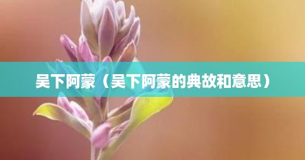 吴下阿蒙（吴下阿蒙的典故和意思）