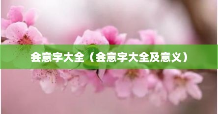 会意字大全（会意字大全及意义）