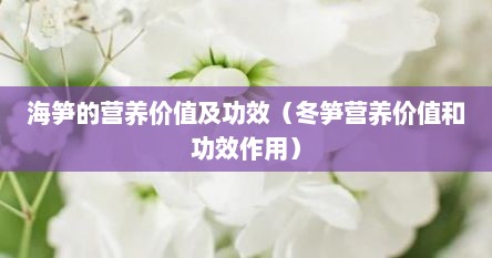 海笋的营养价值及功效（冬笋营养价值和功效作用）