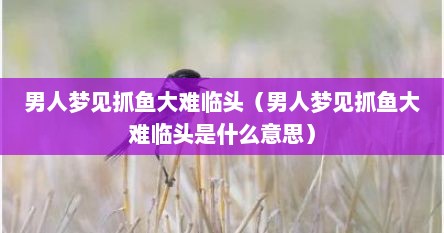 男人梦见抓鱼大难临头（男人梦见抓鱼大难临头是什么意思）