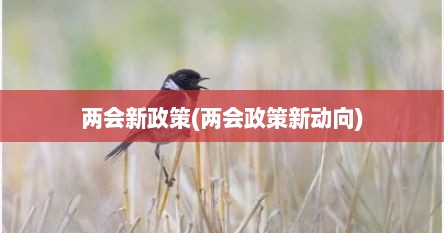 两会新政策(两会政策新动向)