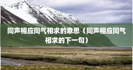 同声相应同气相求的意思（同声相应同气相求的下一句）