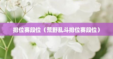 排位赛段位（荒野乱斗排位赛段位）