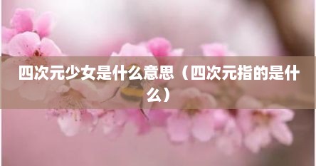 四次元少女是什么意思（四次元指的是什么）