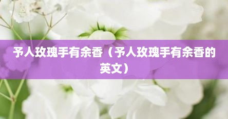 予人玫瑰手有余香（予人玫瑰手有余香的英文）