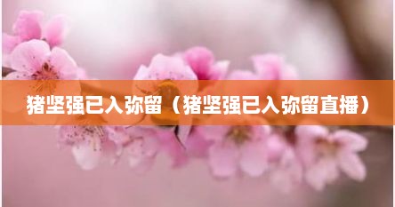 猪坚强已入弥留（猪坚强已入弥留直播）