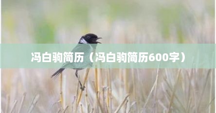 冯白驹简历（冯白驹简历600字）