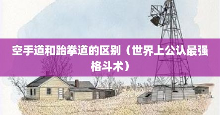 空手道和跆拳道的区别（世界上公认最强格斗术）