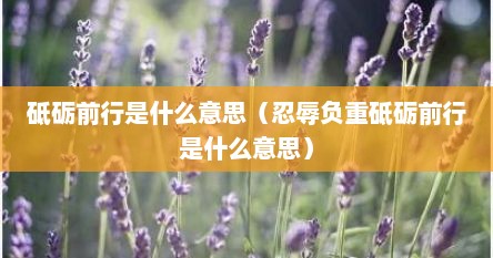 砥砺前行是什么意思（忍辱负重砥砺前行是什么意思）