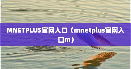 MNETPLUS官网入口（mnetplus官网入口m）