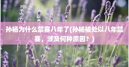 孙杨为什么禁赛八年了(孙杨被处以八年禁赛，涉及何种原因？)