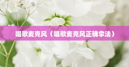 唱歌麦克风（唱歌麦克风正确拿法）