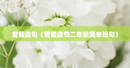 爱戴造句（爱戴造句二年级简单短句）