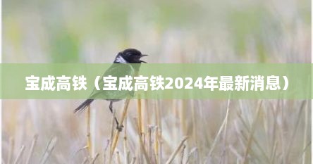 宝成高铁（宝成高铁2024年最新消息）