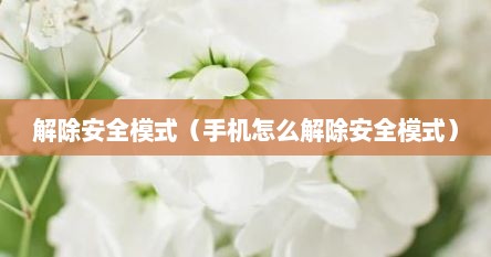 解除安全模式（手机怎么解除安全模式）