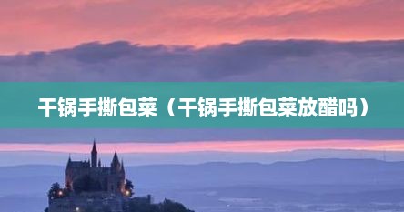干锅手撕包菜（干锅手撕包菜放醋吗）