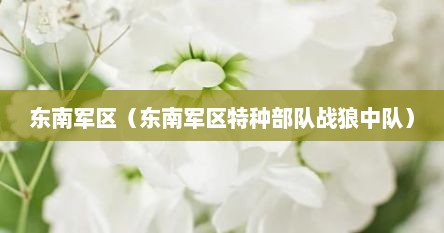 东南军区（东南军区特种部队战狼中队）