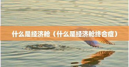 什么是经济舱（什么是经济舱终合症）