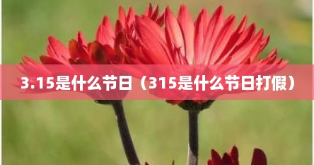 3.15是什么节日（315是什么节日打假）