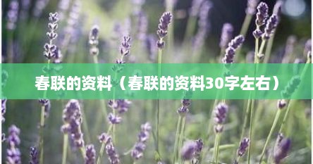 春联的资料（春联的资料30字左右）