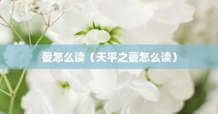 甍怎么读（天平之甍怎么读）