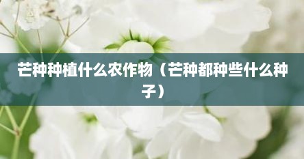 芒种种植什么农作物（芒种都种些什么种子）