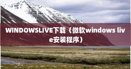 WINDOWSLIVE下载（微软windows live安装程序）