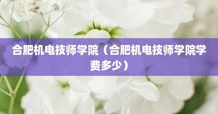 合肥机电技师学院（合肥机电技师学院学费多少）