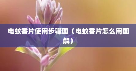 电蚊香片使用步骤图（电蚊香片怎么用图解）