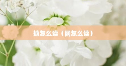 掳怎么读（阙怎么读）