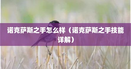 诺克萨斯之手怎么样（诺克萨斯之手技能详解）