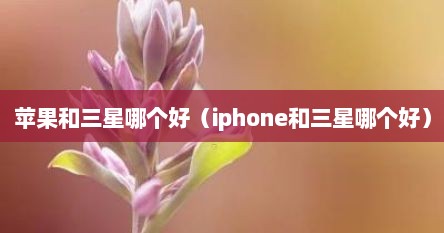 苹果和三星哪个好（iphone和三星哪个好）